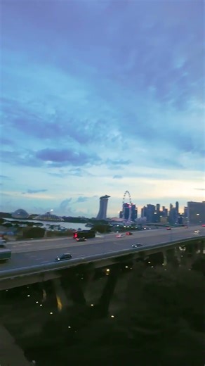 Purple silhouettes #fpv #dji #djiaction2 #gyroflow #cinematic #singapore