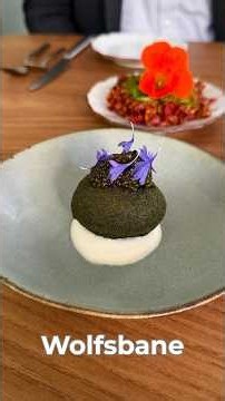 No Reservation Needed at This Michelin Star Restaurant in San Francisco!