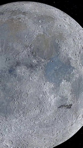 932K views · 15K reactions | A rare and beautiful moment was captured...