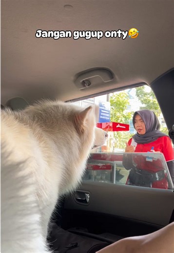 Reaksi Teteh SPBU Melihat Beruang Kutub