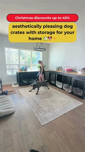 Link in BIO | Large Exercise Wheel for Cats and Dogs — Home Pet Fitness & Fun