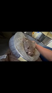 115K views · 14K reactions | The plot thickens with Holly’s story....