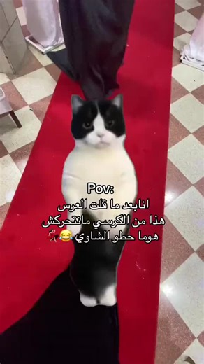 #gasba #اكسبلورexplore #chawiya__batniya__05 #cheba_yamina🇩🇿❤💪💎🌹🌹 #alg #batna05_chawiya🇩🇿💪 #باتنة_خنشلة_ام_البواقي_سوق_هراس_تبسة #chaba_yamina