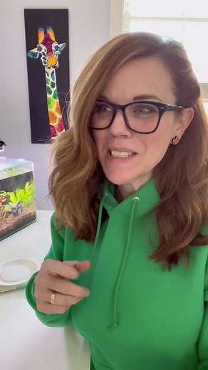 Fun and Easy Owl Art with Watercolor for All Ages