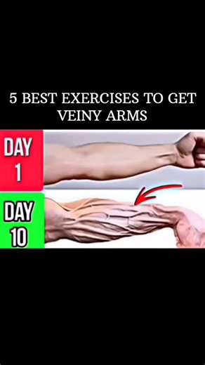 GYMGUIDE on Instagram: "5 best exercises to get veiny arms💪 . . . . . . . #gym #fitness #workout #veins #forearmworkout"