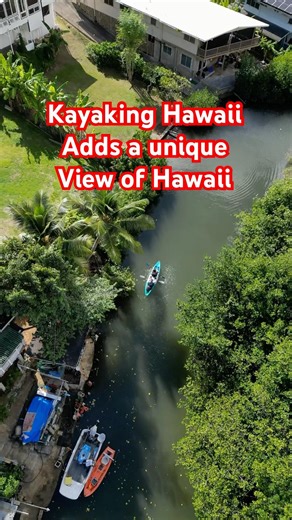 Kayaking Hawaii's Lush Inlets: Mountains, Water, and Island Breezes! 🛶🌊