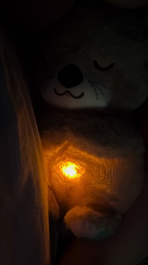 TeddyCuddles على TikTok