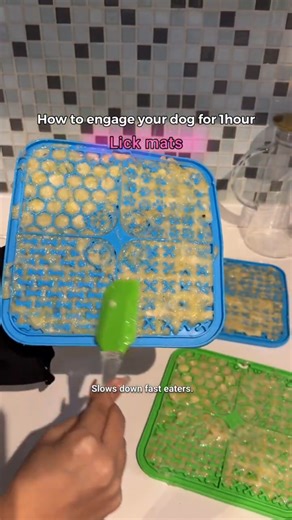 Genius Hacks to Keep Your Dog Entertained for HOURS