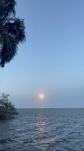 174K views · 10K reactions | My view from today’s (3/17) launch. SpaceX launched 2 satellites for SES. These 2 satellites are TV broadcasting satellites. The booster that supported this mission was B1069. This was the 6th launch for this booster. I setup an extra camera for my son and it was so funny to watch him trying to get the shot. I was trying to get him to just enjoy the launch, but he kept looking through the viewfinder. | Coldlife Photography | Facebook