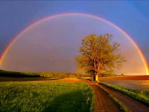 Shelter From The Storm / With Lyrics - Marty Stuart