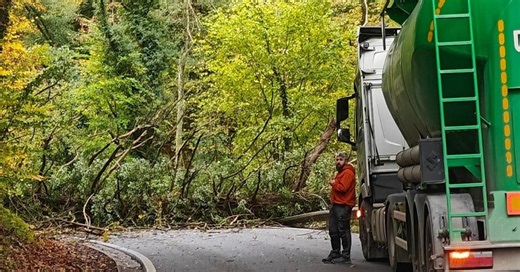 Arbres tombés, chaussées fermées, pannes d’électricité : de nombreuses interventions en région liégeoise, suivez les informations en direct