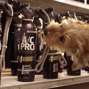 148 reactions · 25 comments | With A/C Pro, you can fix your car’s A/C and get cold air in just 10 minutes for a fraction of the cost. | AC Pro | Facebook