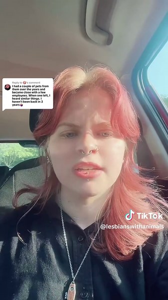 Exploring the World of Exotic Pets and Bird Training