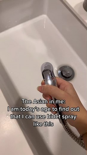 Bidet Spray: The Ultimate Hygiene Solution