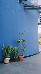 1.7K views · 41 reactions | A campus that is always pleasing.. #Acharya #acharyainstitutes #lifeatacharya #campusofacharya | Acharya Institutes | Facebook