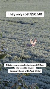 Buy your KS 🦌 points!!!#finaldestinationoutfitters #kansas #bigbuck #deerseason #preferencepoint