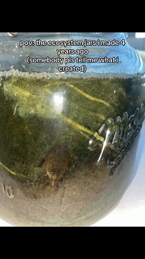 Understanding Ecosystem Jars: What Did I Create?