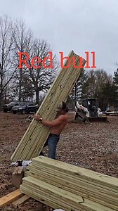 Red bull vs no red bull. | David Daniel Nichols