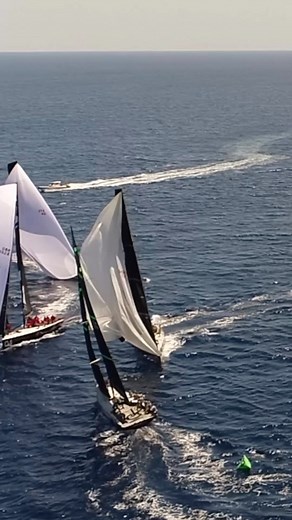 58K views · 924 reactions | All about reading the zone and taking advantages, nice work but pushing the envelope on @platoontp52 … @quantumracing stay prudent and pragmatic  #52superseries #52pureperformance #PUREPERFORMANCE #TP52 #Monohull #boat #sailing #yacht #sail #yachtlife #yachting #sailboat #vela #regatta #yachtworld #sailingpassion #yachtingworld #yachtracing #boatcaptain #boatowner #regattasailing #instasailing #lifestyle | 52 Super Series | Facebook