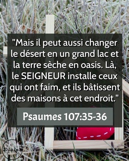 Verset Biblique Du Jour - Psaumes 107:35-36 | Du manque à la provision divine !