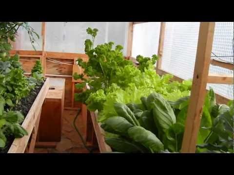 Portable Farms Aquaponics System