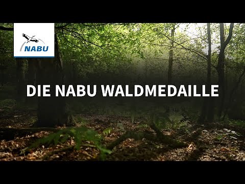 Waldforscher Pierre Ibisch erhält NABU-Waldmedaille