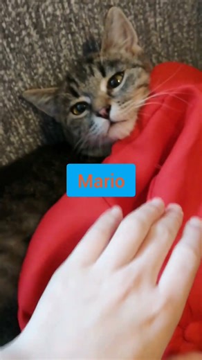 Minki=Mario Lucky=Luigi