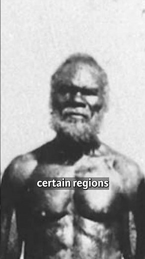 What really happened when the english colonized Australia ?