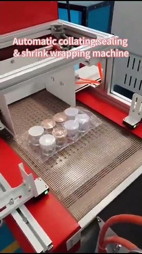 Automatic Collating Sealing & Shrink Wrapping Machine | Integrated Packaging Solution