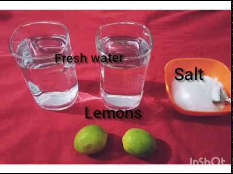 Density Experiment, Lemon Salt Water, Experiment for Kids, Learning, Experiment at Home