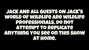 How DEADLY Is The BITE Of The BLUE CORAL SNAKE!? Part 1 | Jack’s World of Wildlife