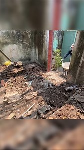 SINGLE MOM Returns To Old House Unexpectedly With Many Memories Buried In Weeds P9 #clean #cleaning #cleanup #cleaninghouse #cuttingdowntrees | Epic Cleanup