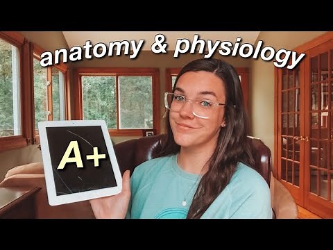 HOW TO GET AN A IN ANATOMY & PHYSIOLOGY | how to pass & study tips