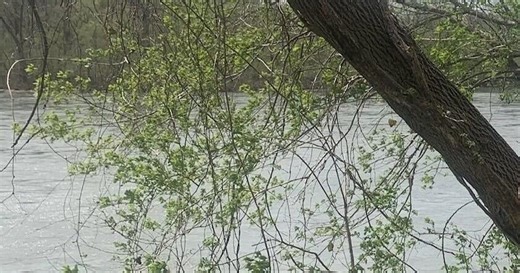 Bid awarded for second phase of James River bank stabilization project