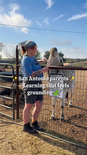 🌿🐓 Little Farmer’s Experience @calvaryfarms_sa 🐐🌱 Kids get to learn animal maintenance, explore gardening, and enjoy sensory-rich play and learning in a calm, nature-filled setting. 📅 Next Class: January 8 ⏰ 10:30 AM – 12:30 PM 📍 Calvary Farms 4231 Stuart Rd Adkins, TX 78101 Calvary Farms is a newer nonprofit animal therapy farm creating intentional experiences that nurture connection, confidence, and care. They’re also planning to add more classes for young kids in the new year, so there’
