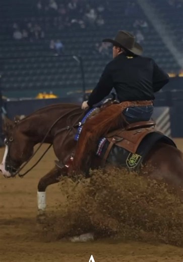 CASEY DEARY THAT'S WHO! The American Performance Horseman Reining Champion #reining #champion #stop #caseydeary #fyp