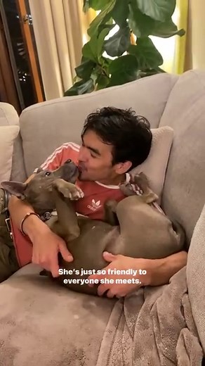 Britt Baron was scared when her husband made her adopt a pit bull — watch the moment she realizes they’re big mushes ❤️ (IG: remyismysoulmate) | The Dodo