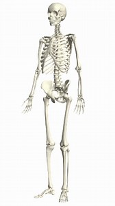 This code was made for walking and that's just what it'll do. Celebrate #NationalWalkingDay #WithWolfram https://community.wolfram.com/groups/-/m/t/3327934 | Wolfram Research