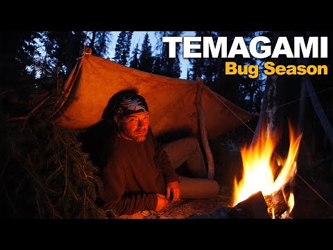 Survivorman | Temagami Bug Season | Les Stroud