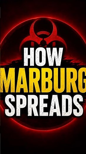 How Marburg Virus Spreads: From Bats to Deadly Outbreaks! #marburg #marburgvirus #virus