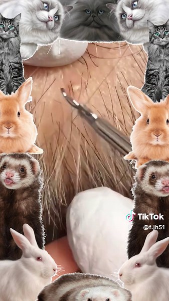 Cyst Popping and Blackhead Extraction Techniques