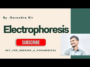 Electrophoresis l Types l Principles l Application l Uses l Normal and Abnormal Pattern