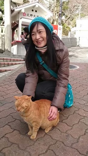 2017-01-13 14.01.55神戶北野異人館街貓