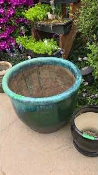 Large plant pots from $25 - huge $365!