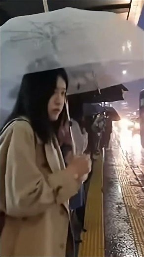 Rainy Bus Stop Ambience for Deep Focus Study and Urban White Noise Sleep ASMR