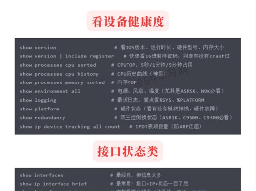 网工必备show命令合集，一文吃透