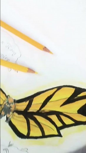 how to draw mothra from Godzilla x Kong the new empire #art #drawing #mothra