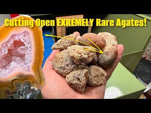Revealing Rare Agates and Real Life Update!