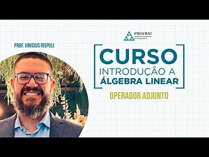 Spaces with Internal Product: Assistant Operator