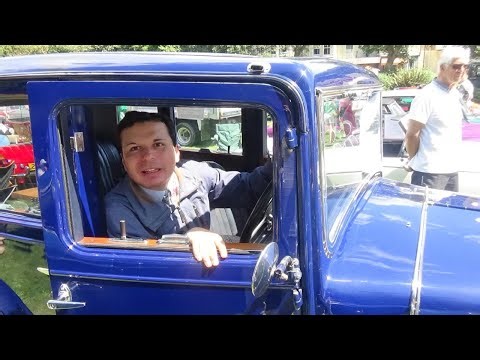 Sunday Livestream Fun with Foxy - Episode 06 - 28/12/2025 - FINAL Livestream for 2025